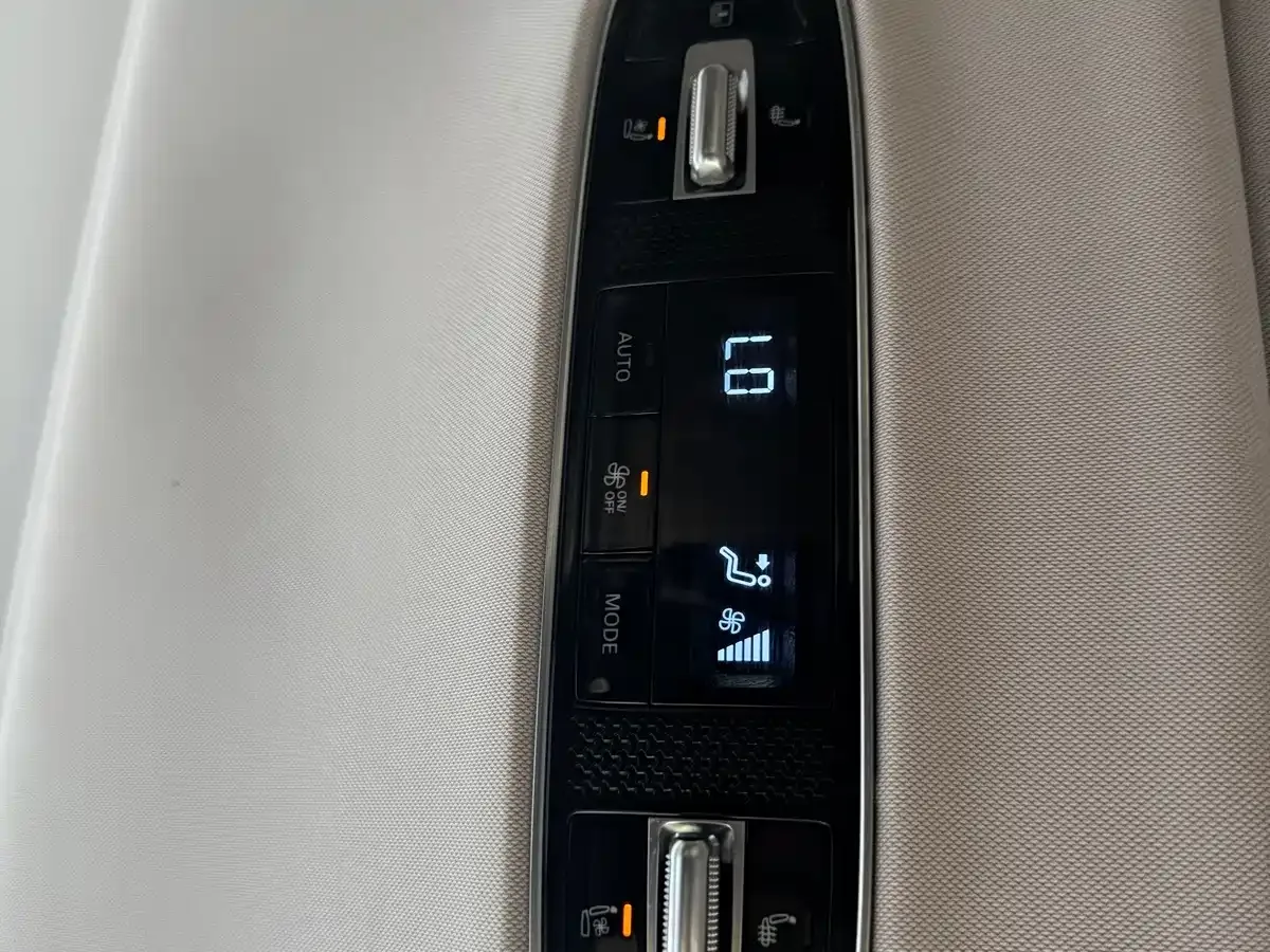 Roewe Roewe iMAX8 2022 400TGI Gathering Edition — Фото автомобиля 23