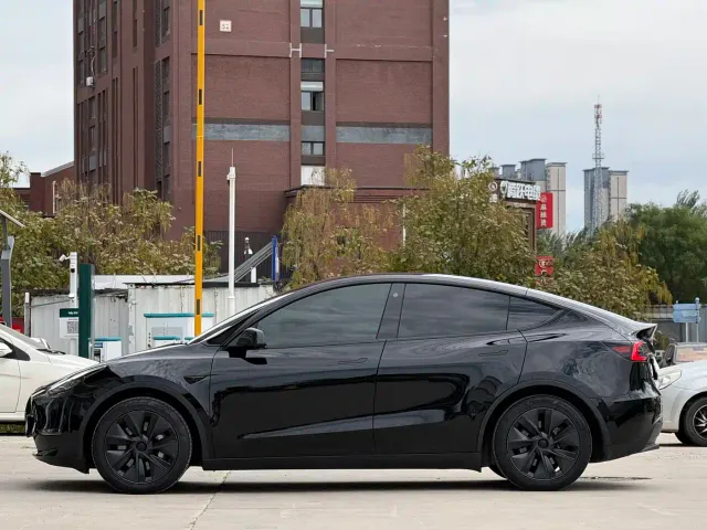 Tesla Model Y — Фото автомобиля 7