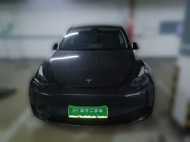 Tesla Model Y — Фото автомобиля 2