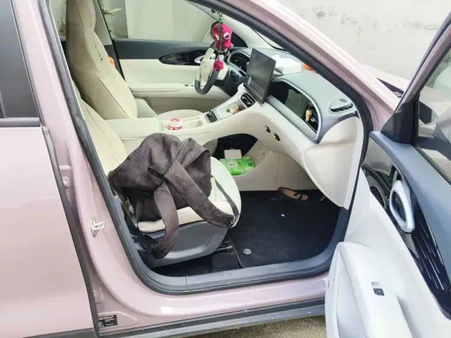 Geely Starry Wish — Фото автомобиля 10