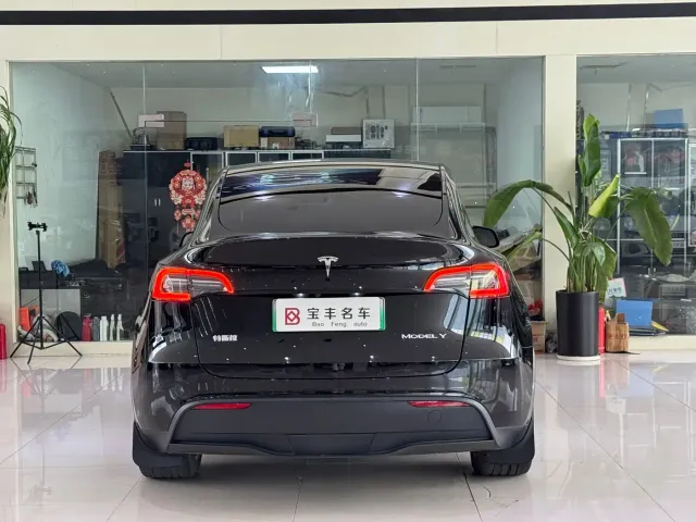 Tesla Model Y — Фото автомобиля 14