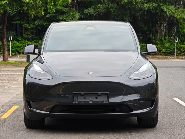 Tesla Model Y — Фото автомобиля 2