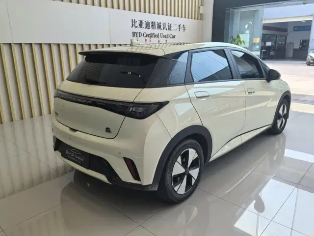BYD Dolphin — Фото автомобиля 6