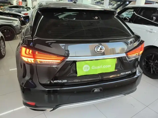 Lexus RX — Фото автомобиля 5