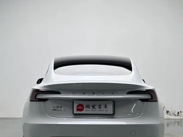 Tesla Model 3 — Фото автомобиля 16