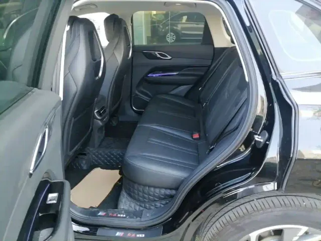 Hongqi Hongqi HS3 PHEV 2024 PHEV 115km Power Edition — Фото автомобиля 21