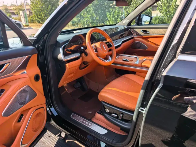 Wey Lanshan — Фото автомобиля 3