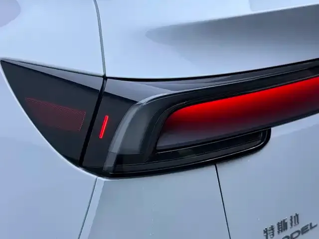 Tesla Model Y — Фото автомобиля 13