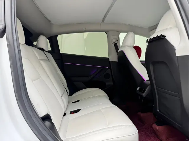 Tesla Model Y — Фото автомобиля 10