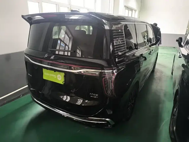 Hongqi HQ9 PHEV — Фото автомобиля 6