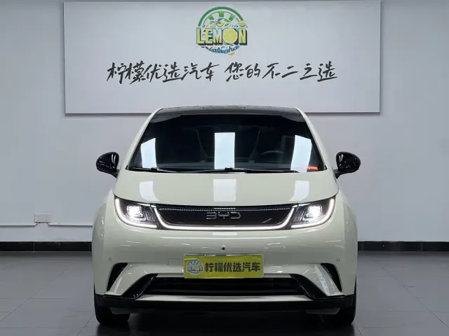 BYD Dolphin — Фото автомобиля 3