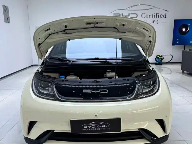 BYD Dolphin — Фото автомобиля 2