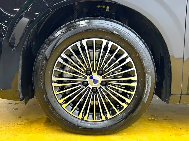 Denza D9 — Фото автомобиля 10