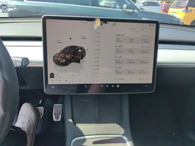Tesla Model Y — Фото автомобиля 10