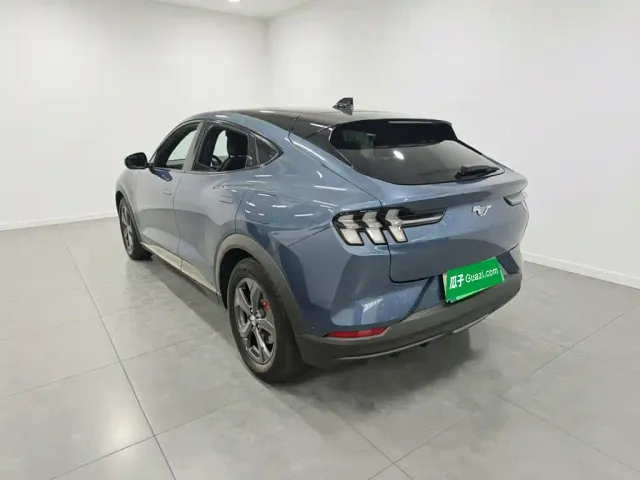 Ford Mustang Mach-E — Фото автомобиля 4