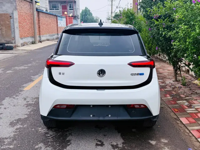 Electric House YOUNG Guang Xiaoxin — Фото автомобиля 5