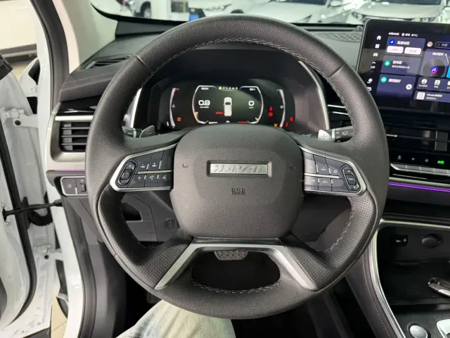Haval H6 — Фото автомобиля 11