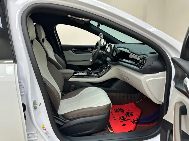 BYD Qin PLUS — Фото автомобиля 27