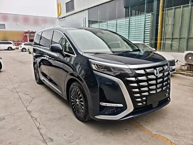 Denza D9 — Фото автомобиля 3