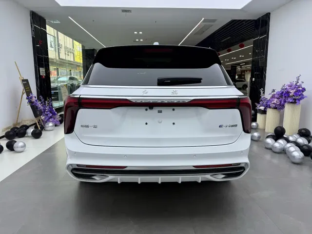 Hongqi E-HS9 — Фото автомобиля 4