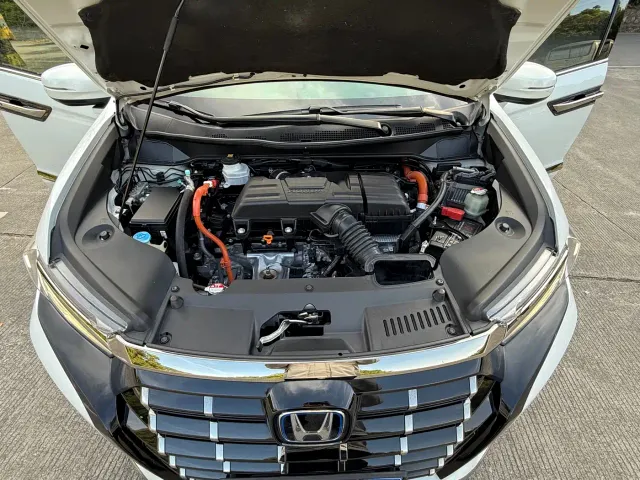 Honda Elysion — Фото автомобиля 16