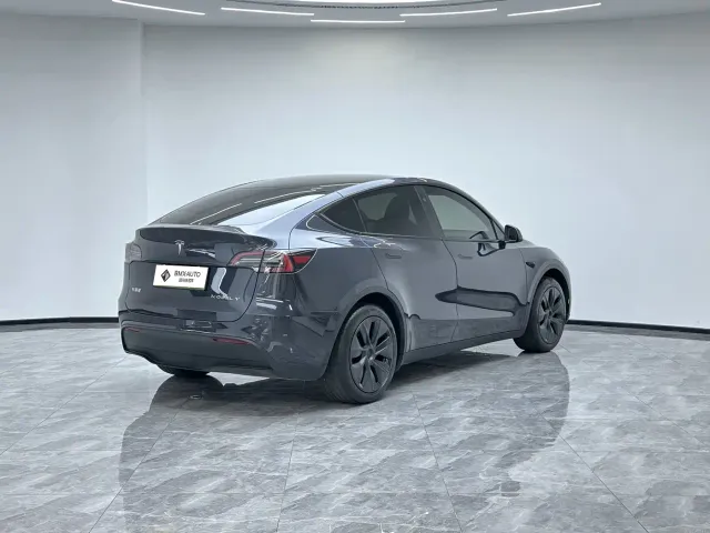 Tesla Model Y — Фото автомобиля 2