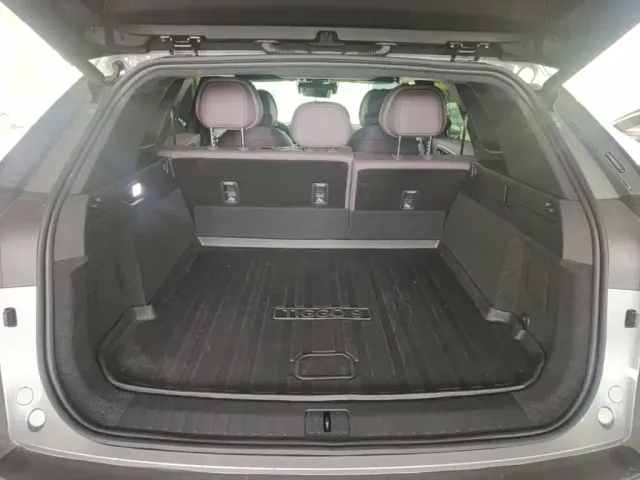 Chery Tiggo 9 — Фото автомобиля 18