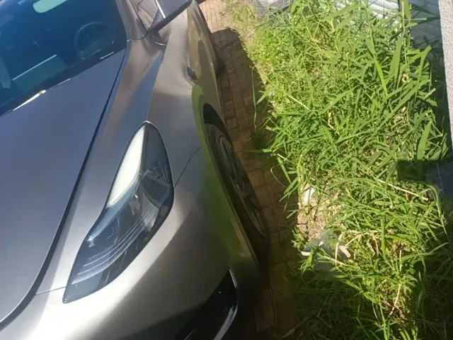 Tesla Model Y — Фото автомобиля 22