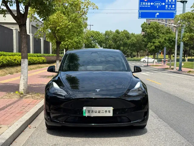 Tesla Model Y — Фото автомобиля 2