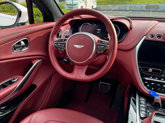 Aston Martin DBX — Фото автомобиля 19
