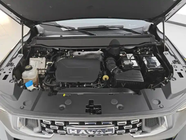 Haval Big Dog — Фото автомобиля 10
