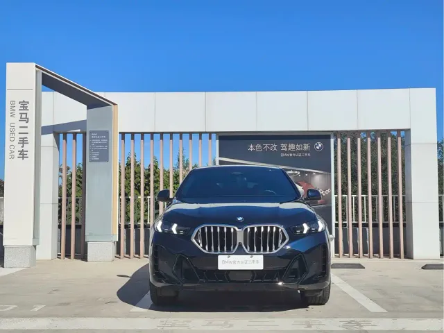 BMW X6 — Фото автомобиля 2