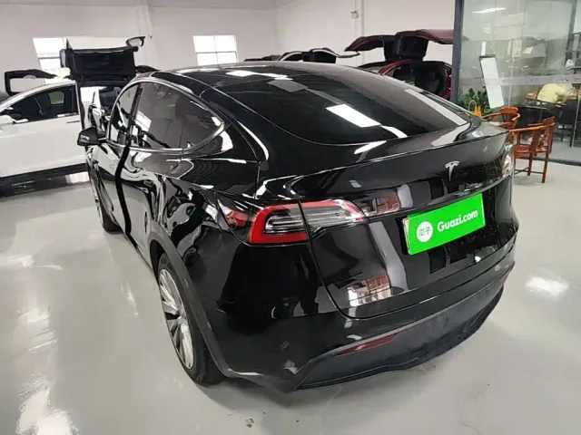 Tesla Model Y — Фото автомобиля 4
