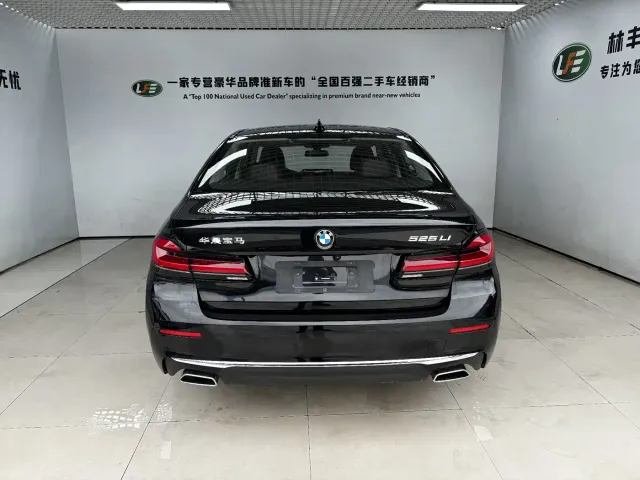 BMW 5 Series — Фото автомобиля 6