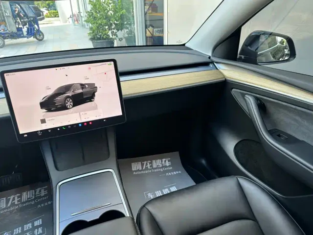 Tesla Model Y — Фото автомобиля 10