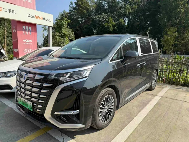 Фотография автомобиля — Denza D9