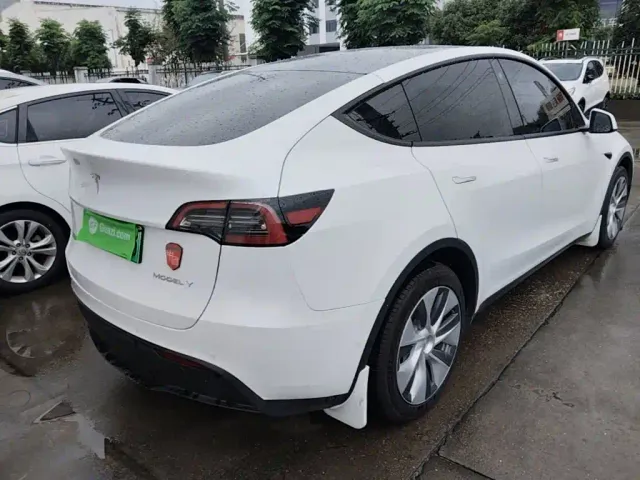 Tesla Model Y — Фото автомобиля 6
