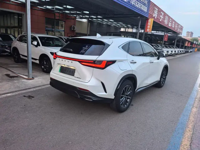 Lexus NX — Фото автомобиля 16
