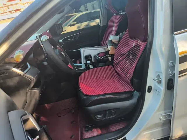 Toyota RAV4 Rongfang Dual Engine E+ — Фото автомобиля 11