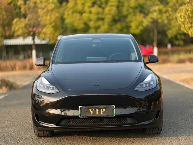 Tesla Model Y — Фото автомобиля 2
