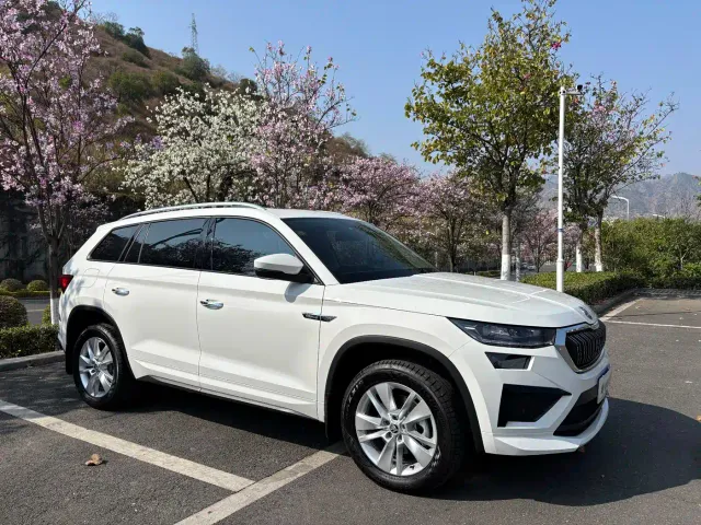 Skoda Kodiaq — Фото автомобиля 3