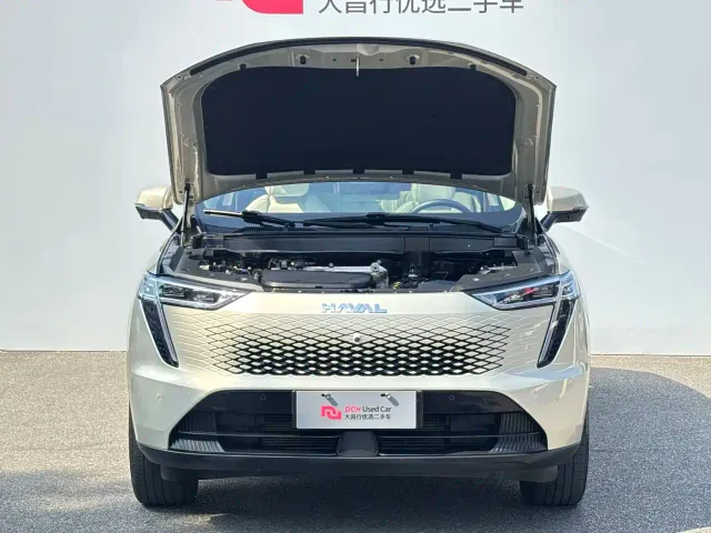 Haval Xiaolong MAX — Фото автомобиля 7