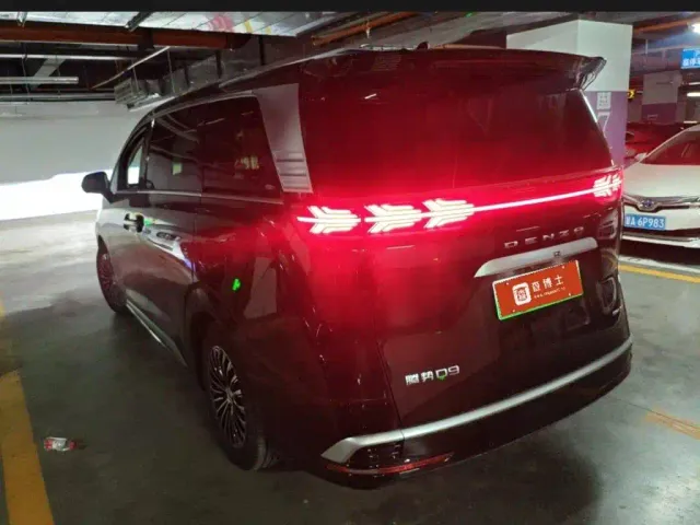 Denza Denza D9 2024 DM-i 980 AWD Premium — Фото автомобиля 5