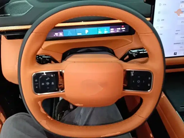 Lynk & Co 900 — Фото автомобиля 10