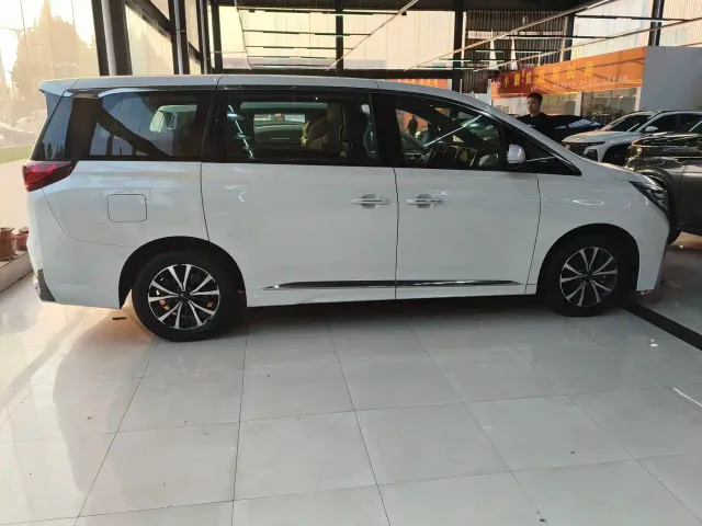 GAC Trumpchi M8 — Фото автомобиля 10