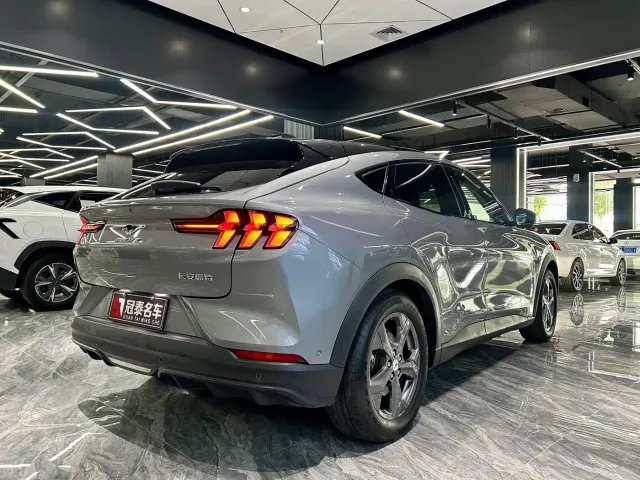 Ford Mustang Mach-E — Фото автомобиля 5