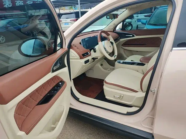 Ora Ora Good Cat 2021 400km Standard Range Athena Edition (LFP) — Фото автомобиля 15