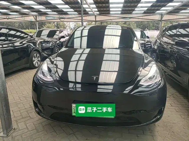 Tesla Model Y — Фото автомобиля 2