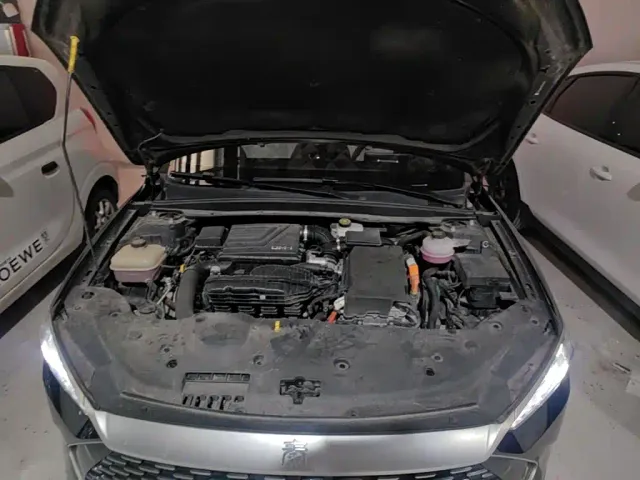 BYD Qin PLUS — Фото автомобиля 22