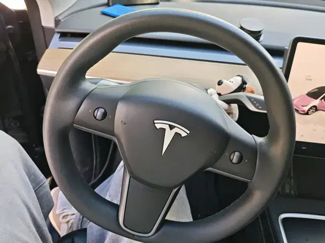 Tesla Model Y — Фото автомобиля 15